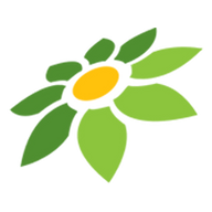 PIXEL INSTAGRAM